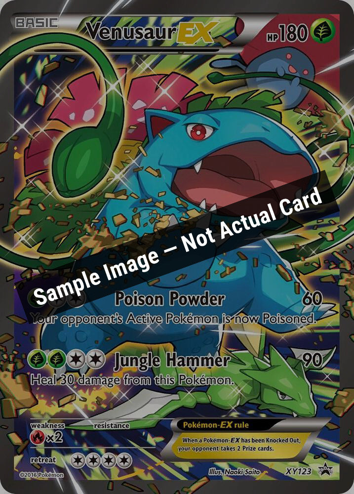 Pokemon,XY Promos,Venusaur EX - XY123,Holofoil,Moderately Played — Sample Image, Not Actual Card