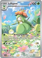 Pokemon,SV: Black Bolt,Lilligant - 092/086,Holofoil,Illustration Rare,Near Mint