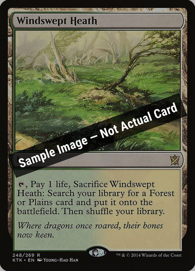 Magic,Khans of Tarkir,Windswept Heath - 248,Normal,Near Mint — Sample Image, Not Actual Card