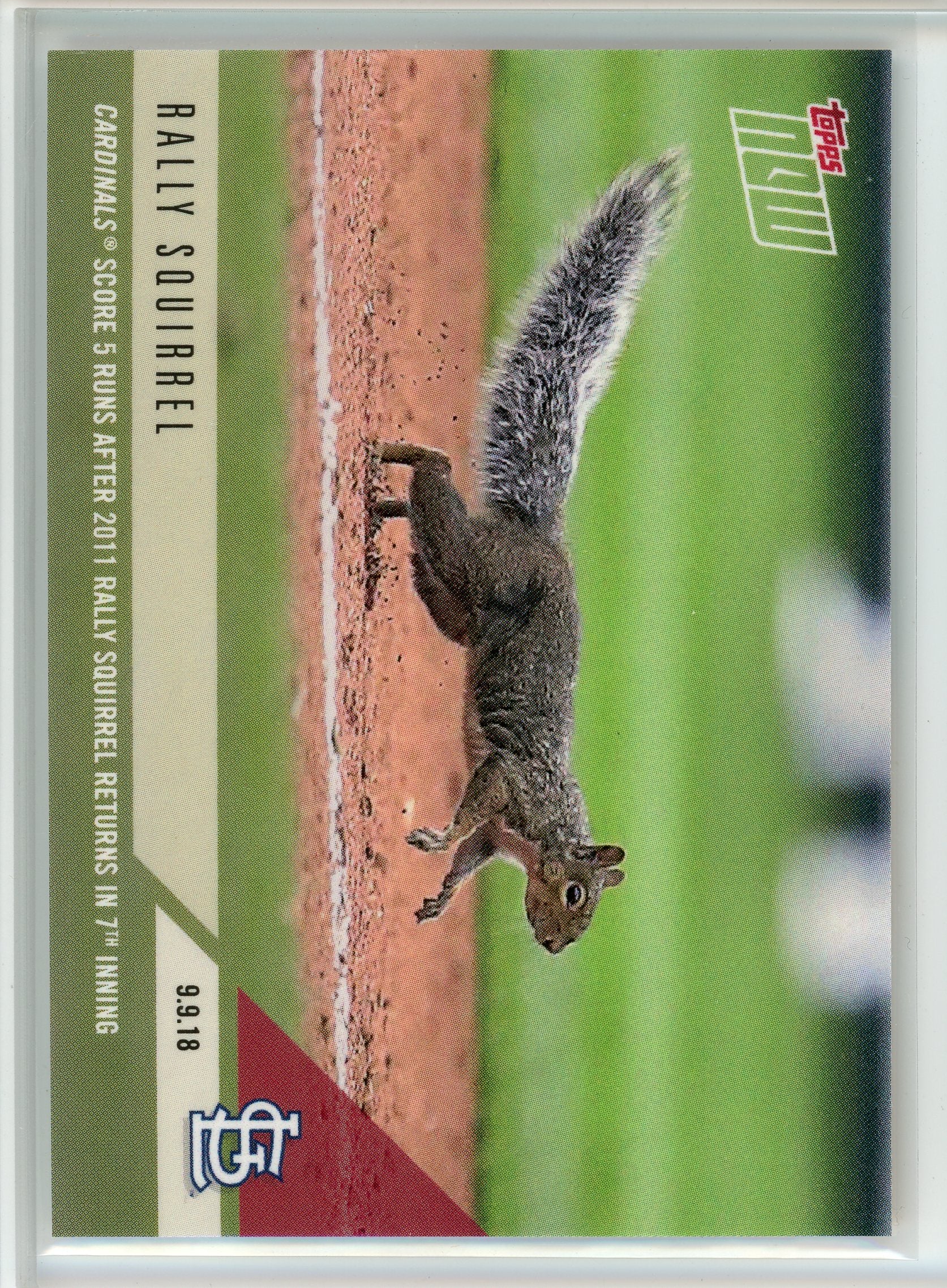 2018 Topps Now #709 Rally Squirrel