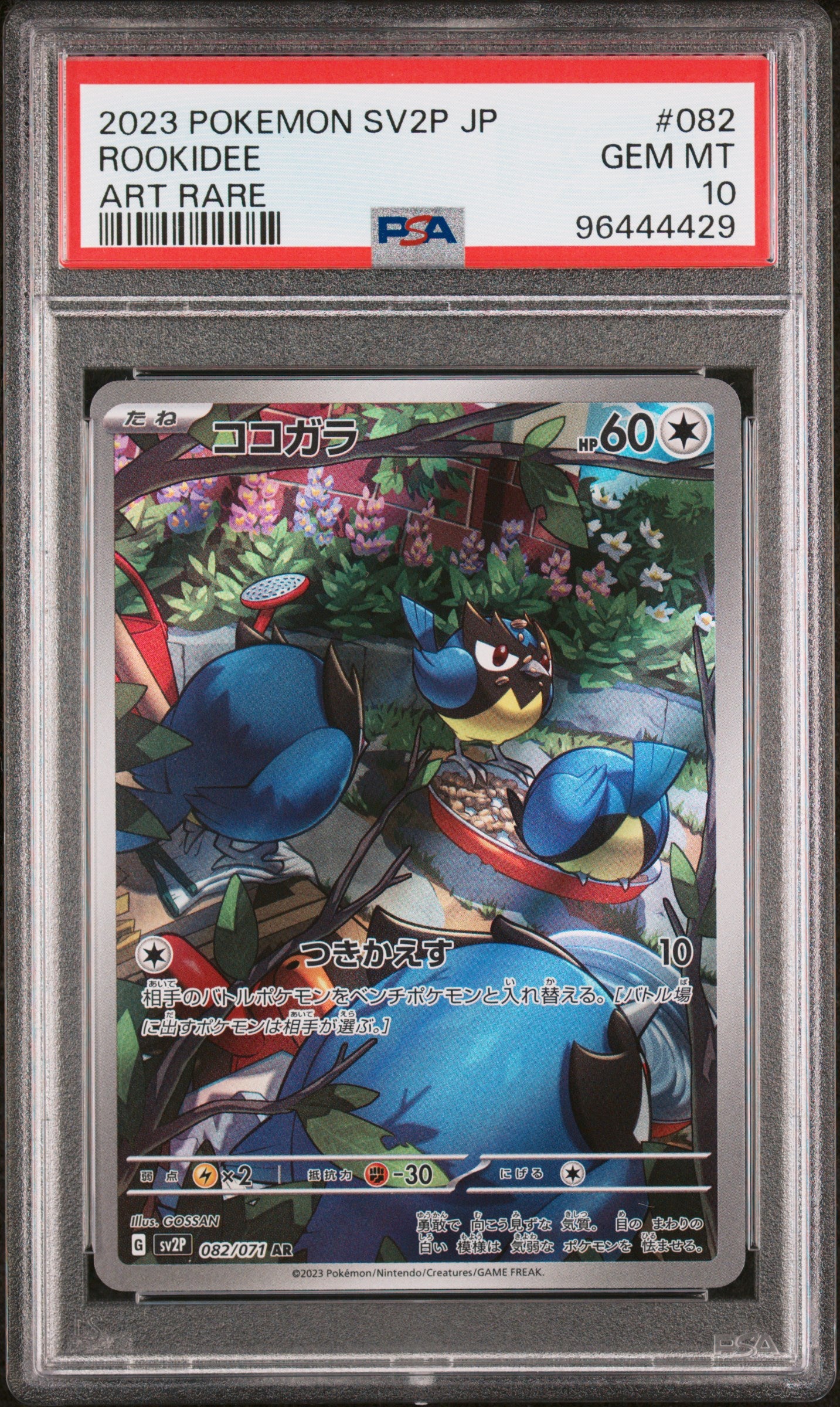 2023 Pokemon Japanese Sv2p-Snow Hazard #082 Rookidee Art Rare PSA 10
