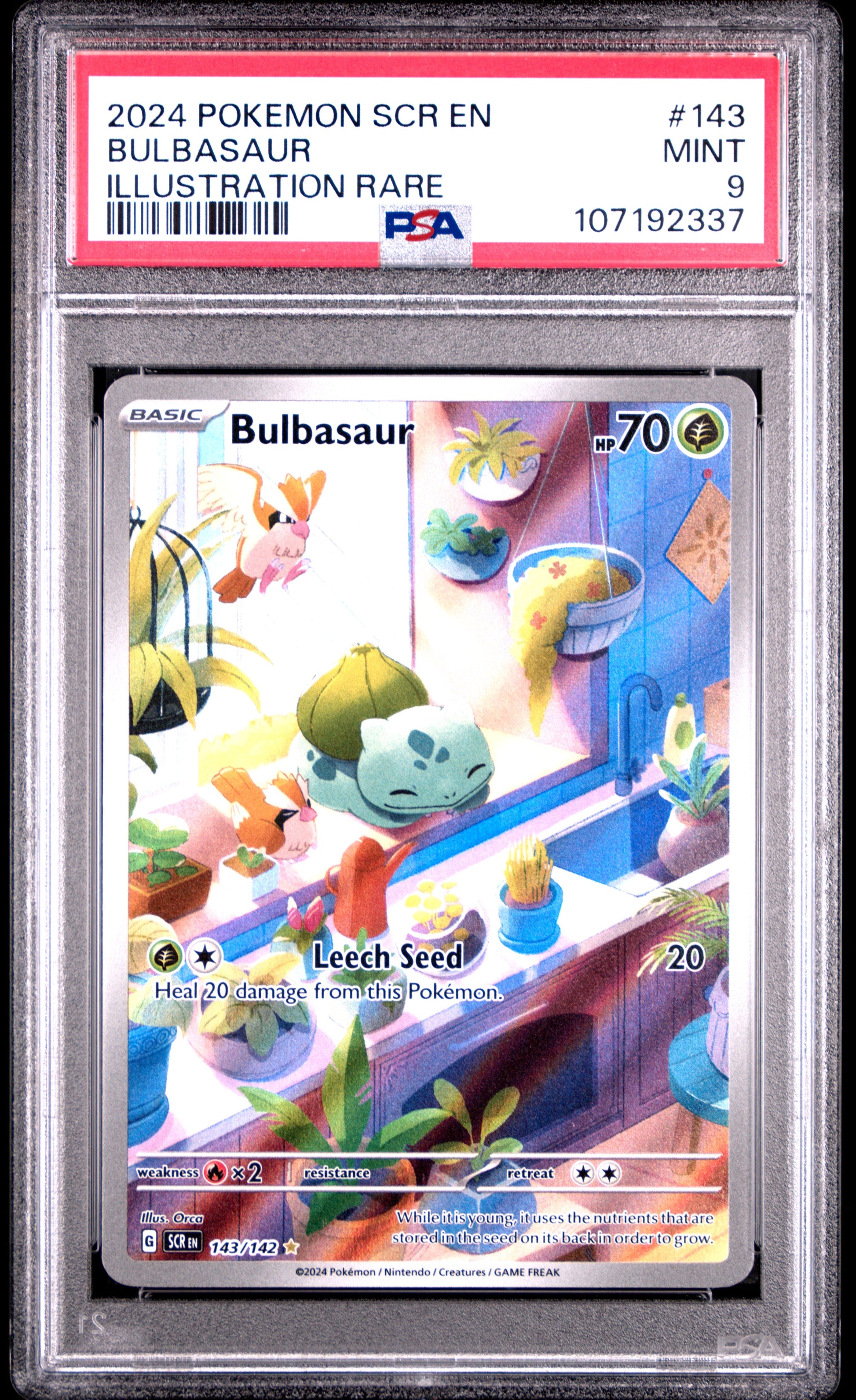 2024 Pokemon Scr En-Stellar Crown #143 Bulbasaur Illustration Rare PSA 9