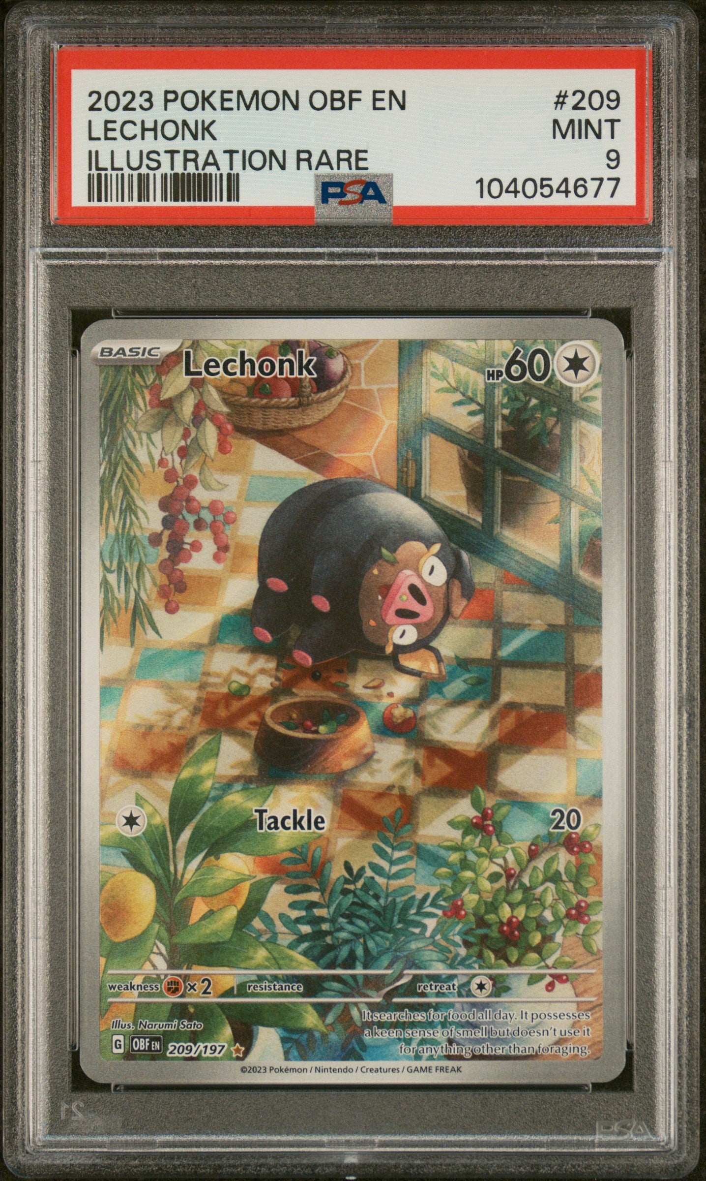 2023 Pokemon Obf En-Obsidian Flames #209 Lechonk Illustration Rare PSA 9
