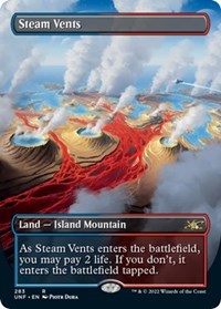 MTG Unfinity Steam Vents (Borderless)
