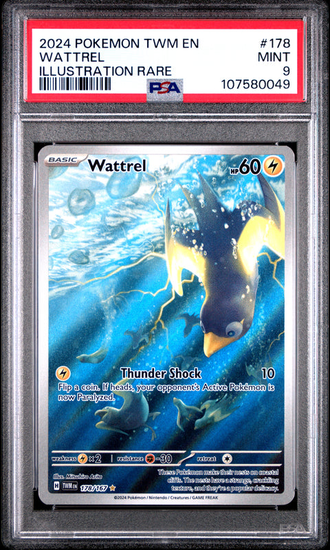 2024 Pokemon Twm En-Twilight Masquerade #178 Wattrel Illustration Rare PSA 9