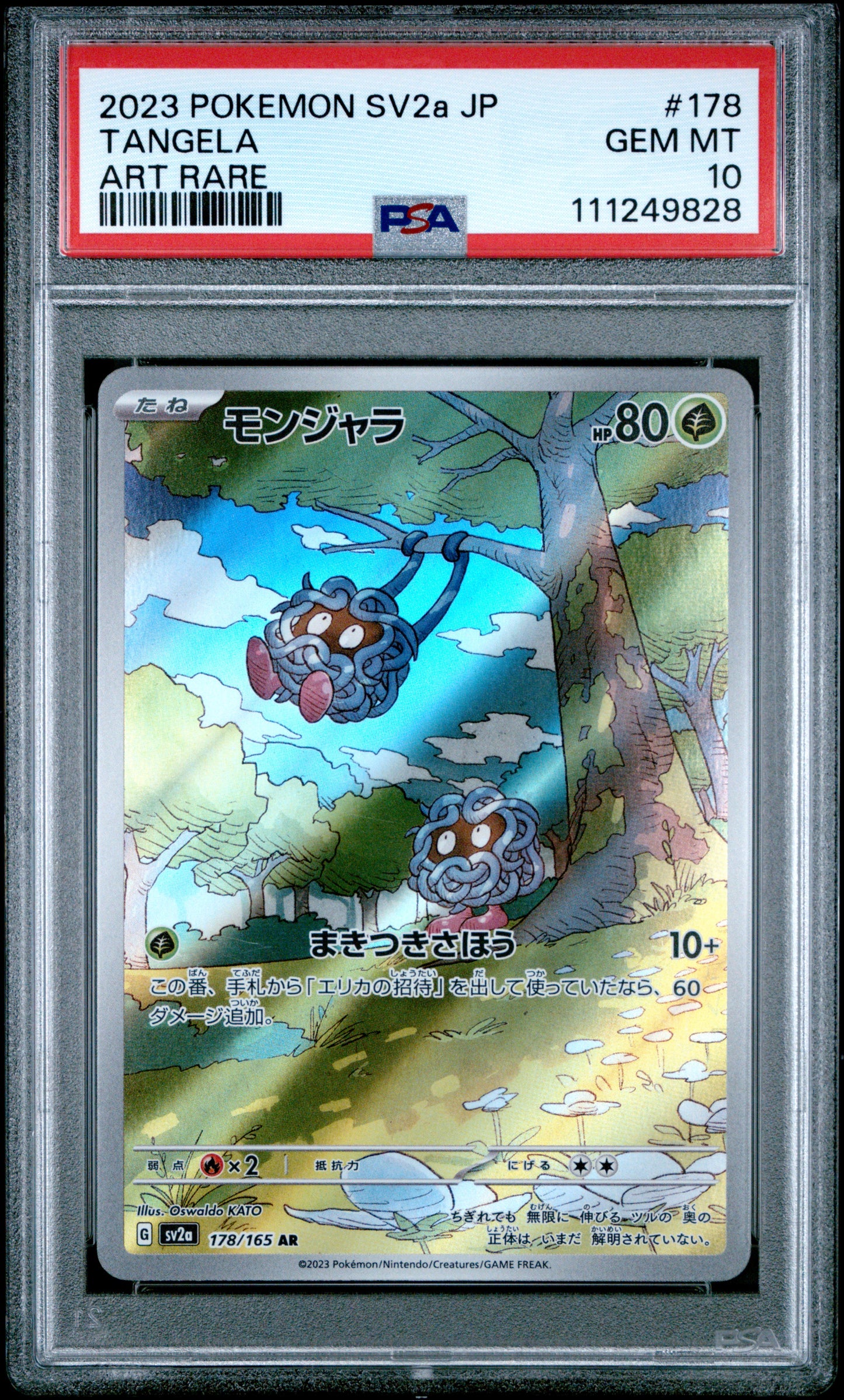 2023 Pokemon Japanese Sv2a-Pokemon 151 #178 Tangela Art Rare PSA 10