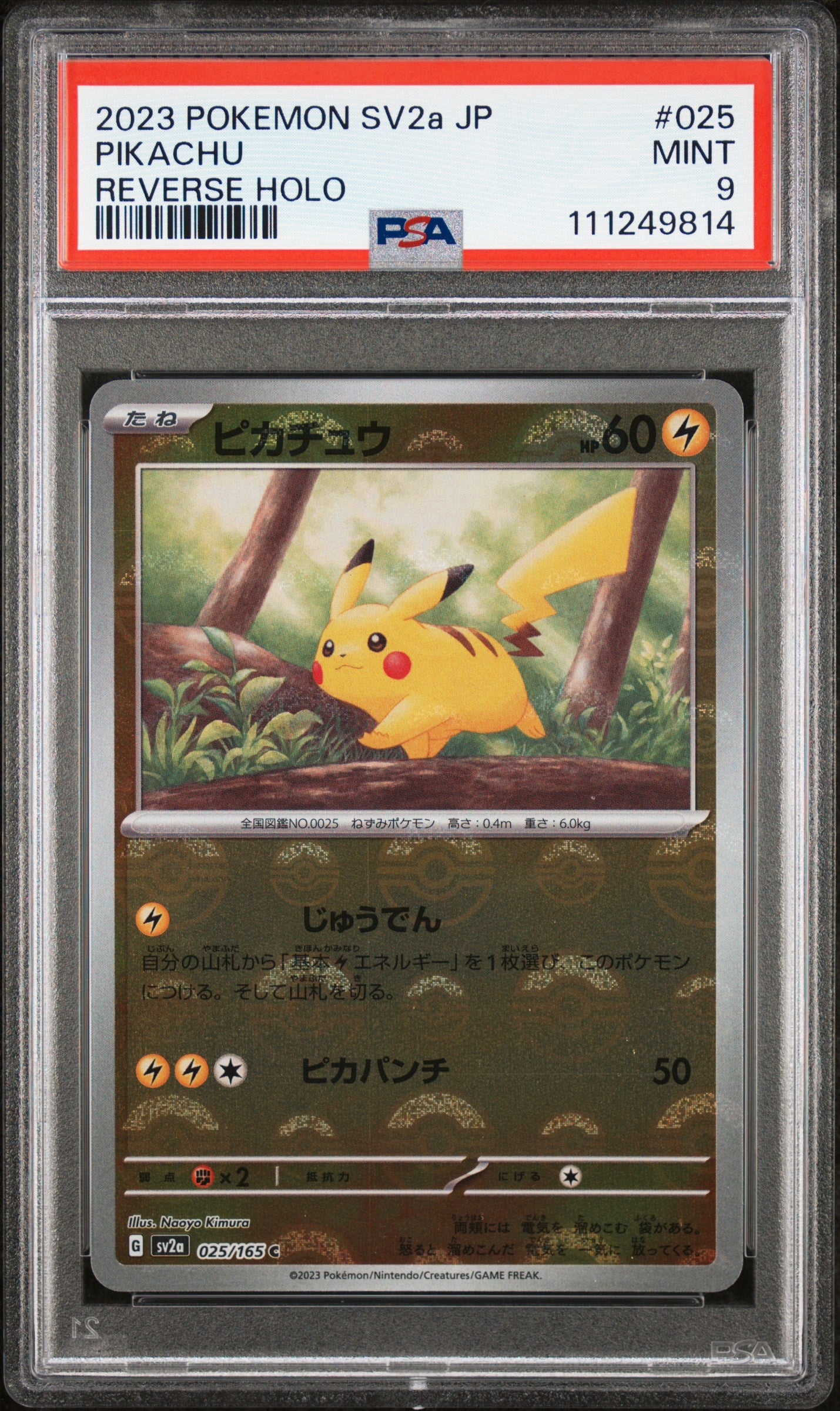 2023 Pokemon Japanese Sv2a-Pokemon 151 #025 Pikachu Reverse Holo PSA 9
