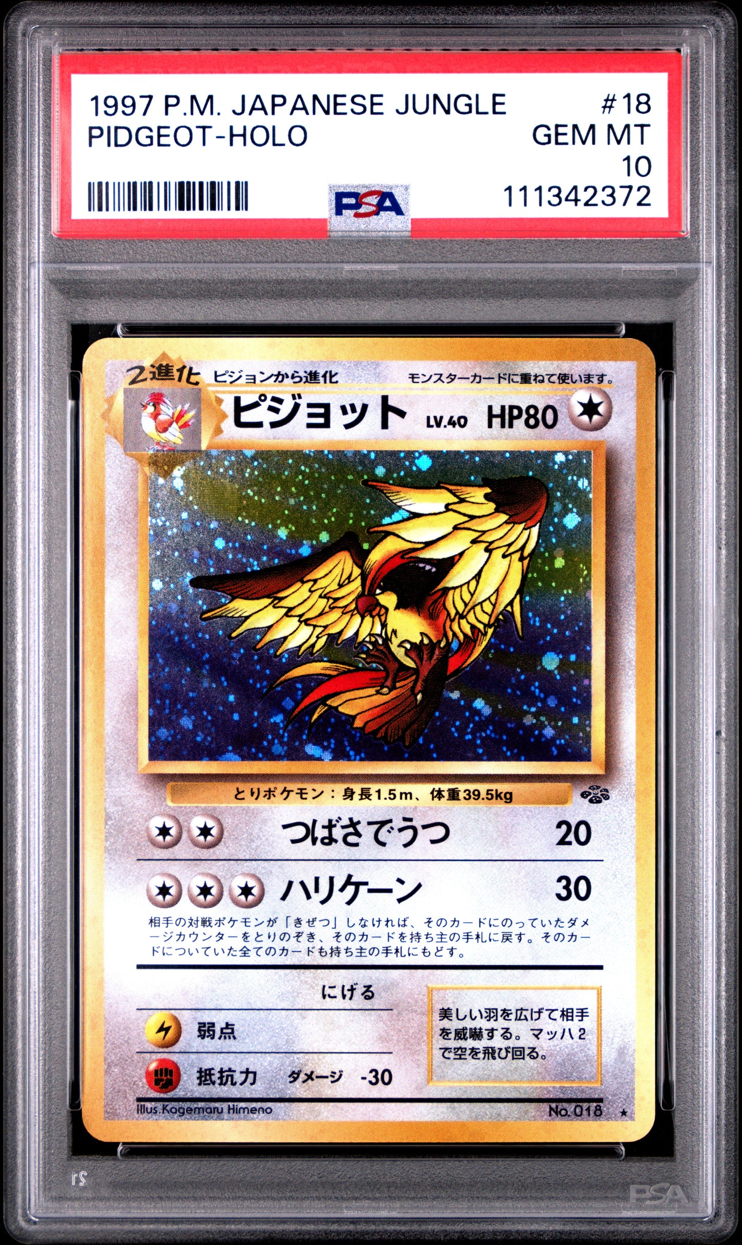 1997 Pokemon Japanese Jungle #18 Pidgeot-Holo PSA 10