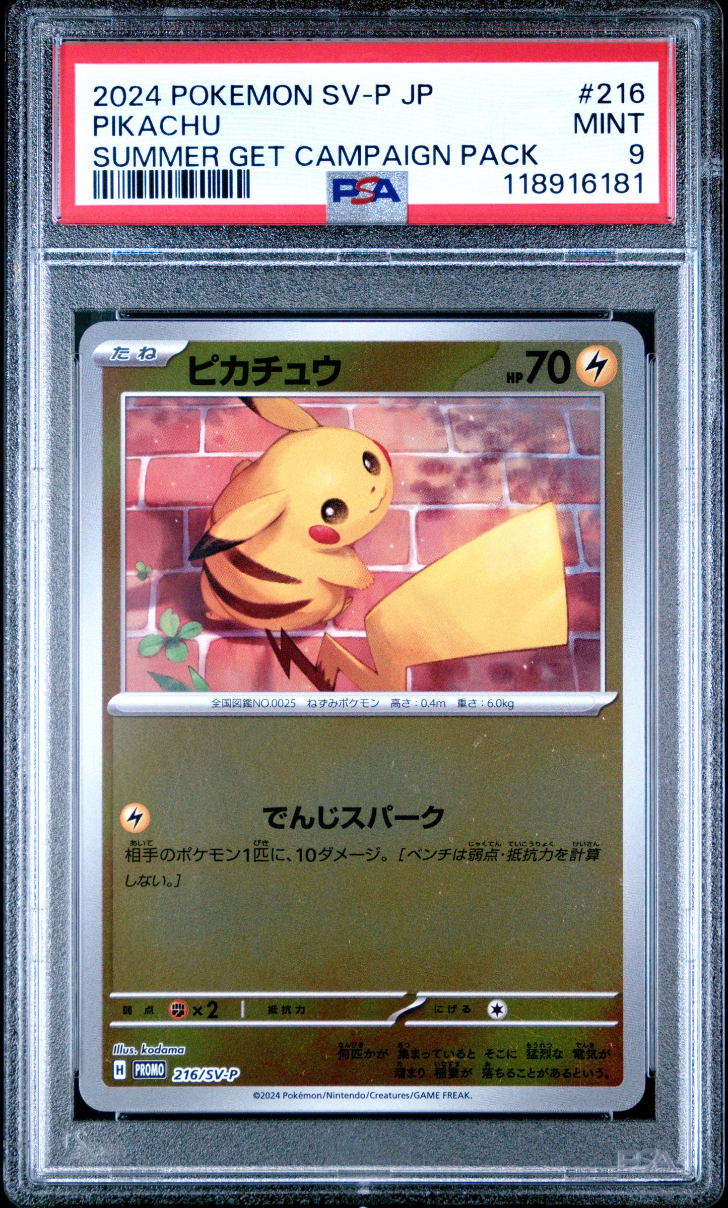 2024 Pokemon Japanese Sv-P Promo Pikachu #216 PSA 9