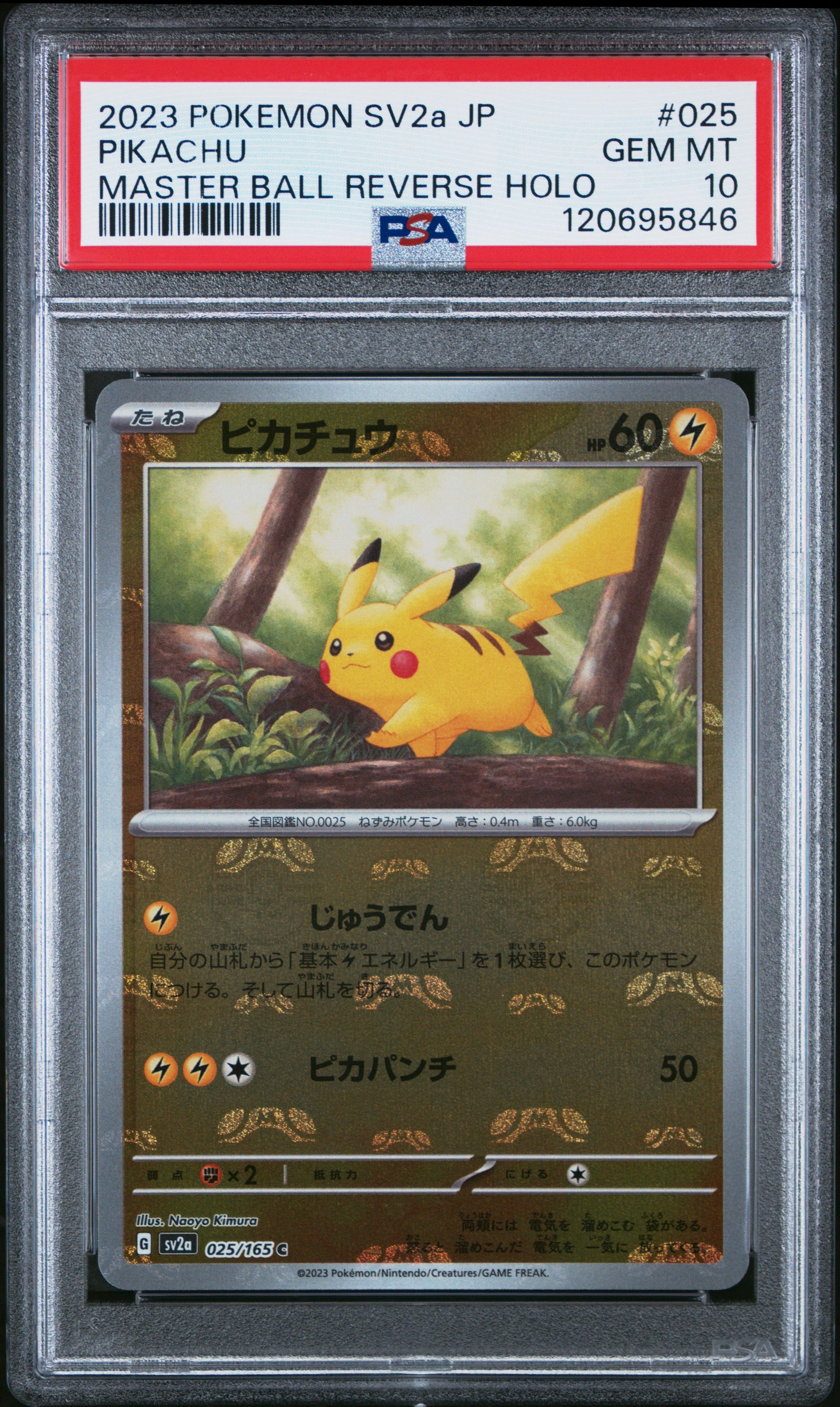 2023 Pokemon Japanese Sv2a-Pokemon 151 Pikachu #025 PSA 10
