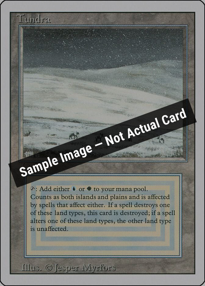 Magic,Revised Edition,Tundra,Normal,Moderately Played — Sample Image, Not Actual Card