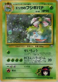 Pokemon Japan Challenge from the Darkness Erika's Venusaur