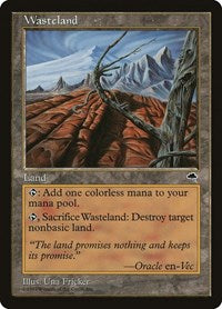 MTG Tempest Wasteland