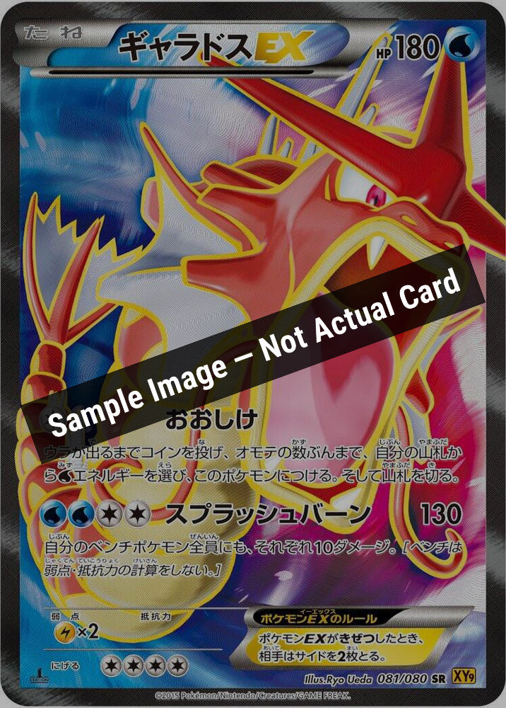 Pokemon Japan,XY9: Rage of the Broken Heavens,Gyarados EX - 081/080,1st Edition Holofoil,Near Mint — Sample Image, Not Actual Card