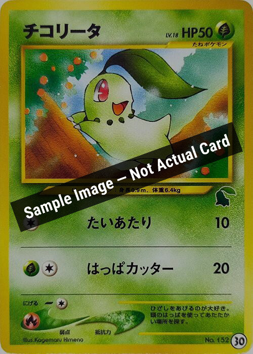 Pokemon Japan,Intro Pack Neo (Chikorita),Chikorita - 30,Normal,Lightly Played — Sample Image, Not Actual Card