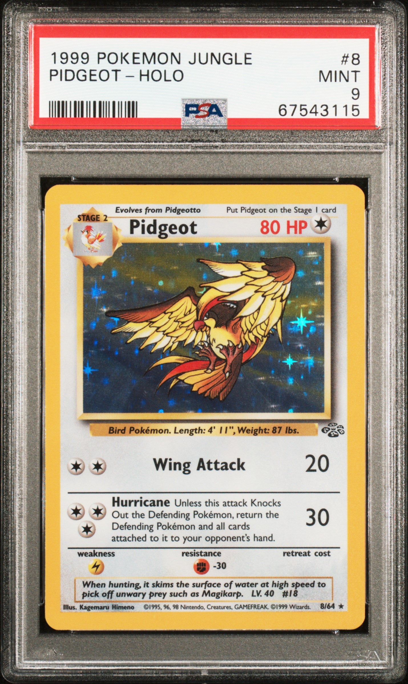 1999 POKEMON JUNGLE PIDGEOT-HOLO #8 PSA 9