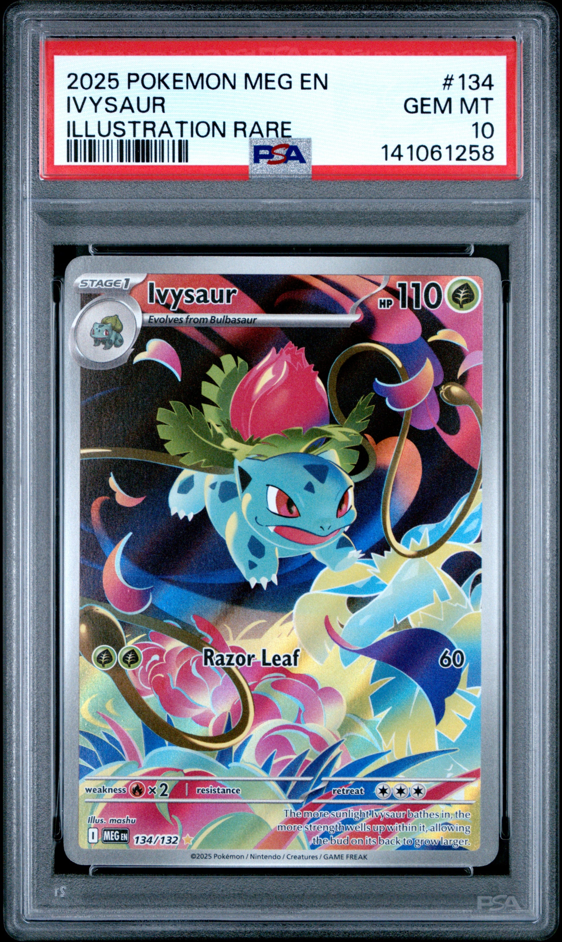 2025 POKEMON MEG EN-MEGA EVOLUTION IVYSAUR #134 ILLUSTRATION RARE PSA 10