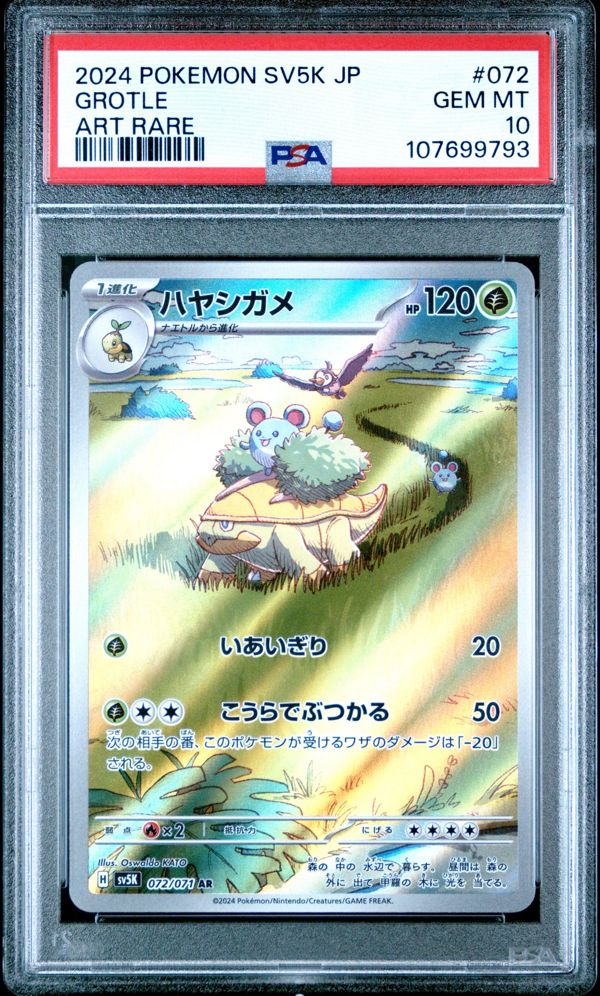 2024 POKEMON JAPANESE SV5K-WILD FORCE GROTLE #072 ART RARE PSA 10
