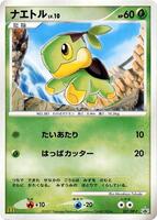 Pokemon Japan,DP-P Promotional cards,Turtwig - 027/DP-P,Normal,None,Heavily Played - Japanese
