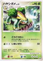Pokemon Japan,DP-P Promotional cards,Grotle - 034/DP-P,Normal,None,Moderately Played - Japanese