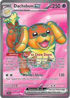 Pokemon,SV07: Stellar Crown,Dachsbun ex - 160/142,Holofoil,Ultra Rare,Near Mint