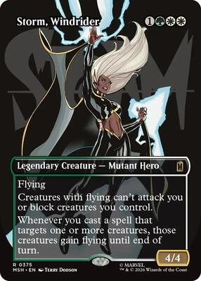 Magic: The Gathering,Marvel Super Heroes,Storm, Windrider (Borderless) - 375,Foil,Rare,Near Mint