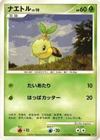 Pokemon Japan,DP1: Space-Time Creation,Turtwig,Unlimited,Common,Heavily Played - Japanese
