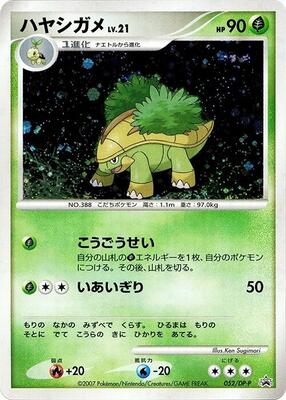 Pokemon Japan,DP-P Promotional cards,Grotle - 052/DP-P,Holofoil,None,Damaged