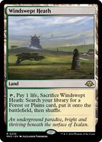 Magic: The Gathering,Modern Horizons 3,Windswept Heath - 235,Normal,Rare,Near Mint