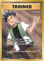 Pokemon,XY - Evolutions,Brock's Grit (Full Art) - 107/108,Holofoil,Ultra Rare,Near Mint