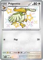 Pokemon,SV: Paldean Fates,Pidgeotto - 197/091,Holofoil,Shiny Rare,Near Mint
