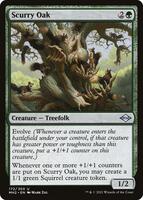Magic: The Gathering,Modern Horizons 2,Scurry Oak - 172,Foil,Uncommon,Near Mint