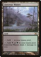 Magic: The Gathering,10th Edition,Llanowar Wastes - 355,Foil,Rare,Near Mint