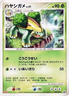Pokemon Japan,DP-P Promotional cards,Grotle - 034/DP-P,Normal,None,Damaged