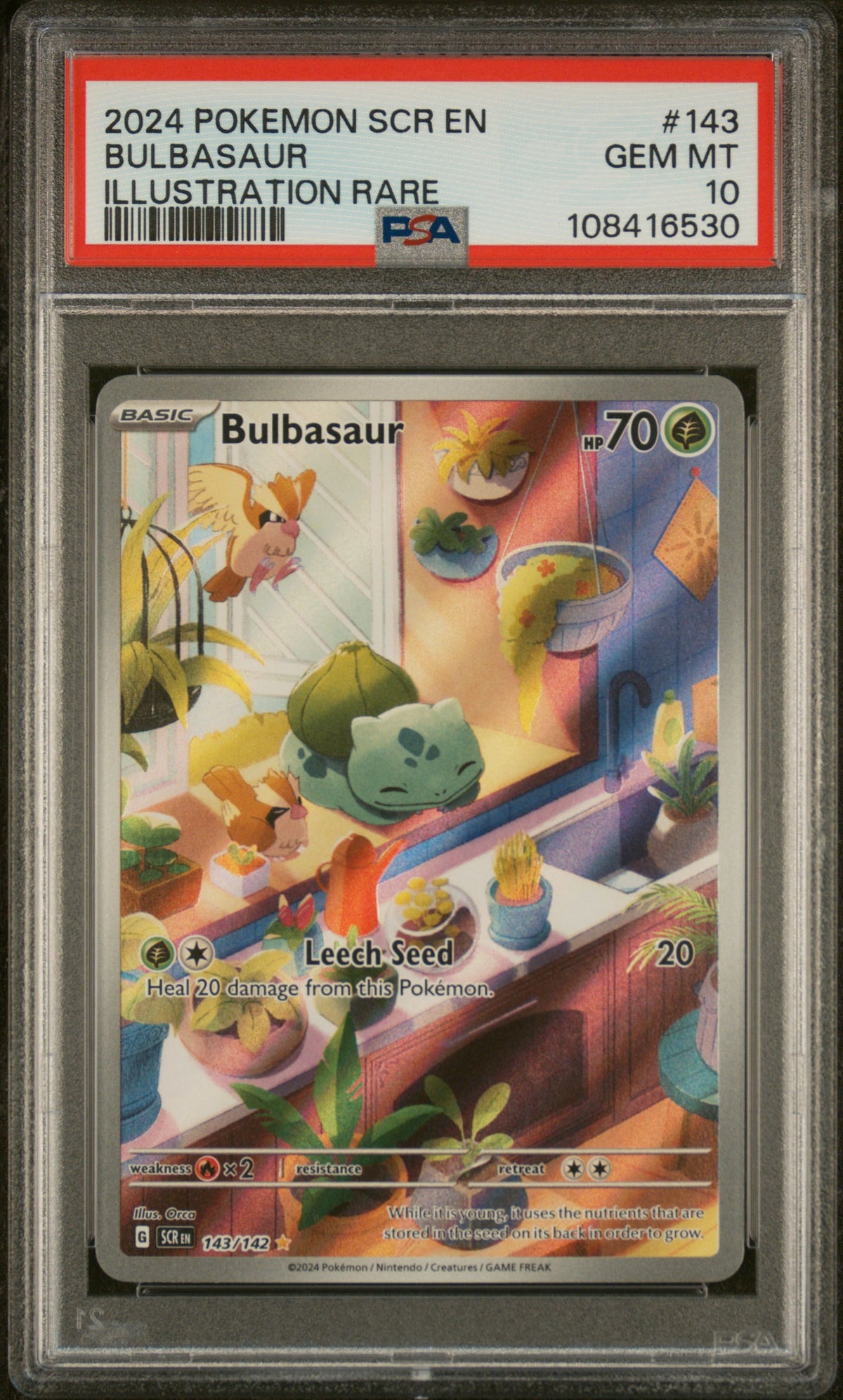 2024 POKEMON SCR EN-STELLAR CROWN BULBASAUR #143 ILLUSTRATION RARE PSA 10